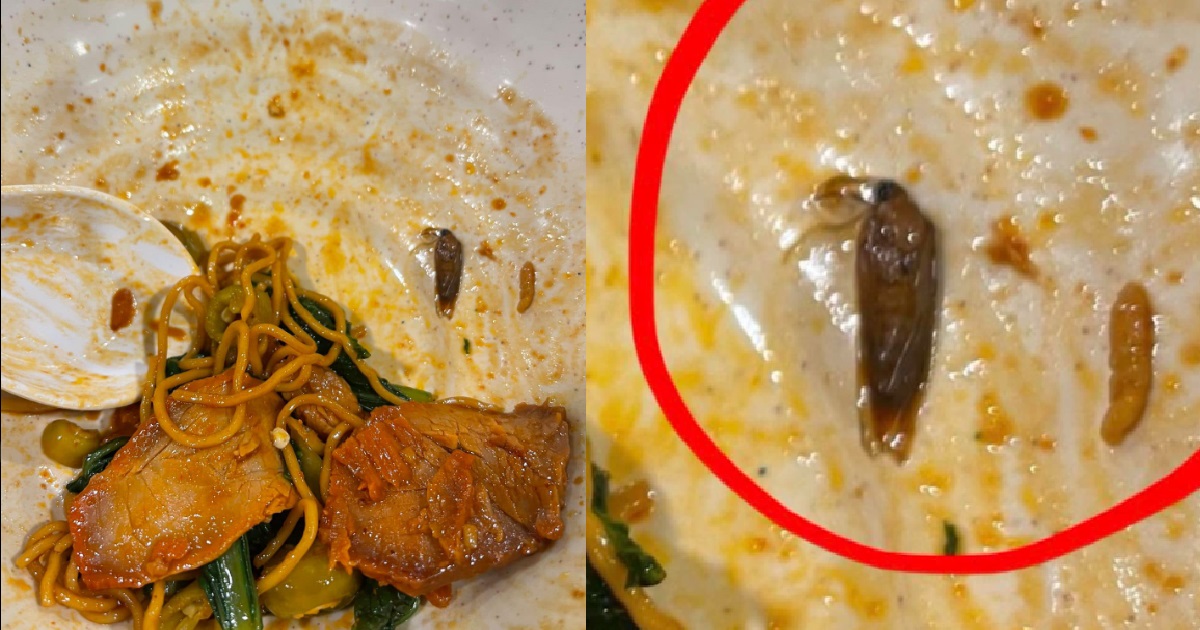 WOMAN FINDS COCKROACH IN HER NOODLES, HAWKER ACCUSES HER OF PLANTING IT TO GET REFUND