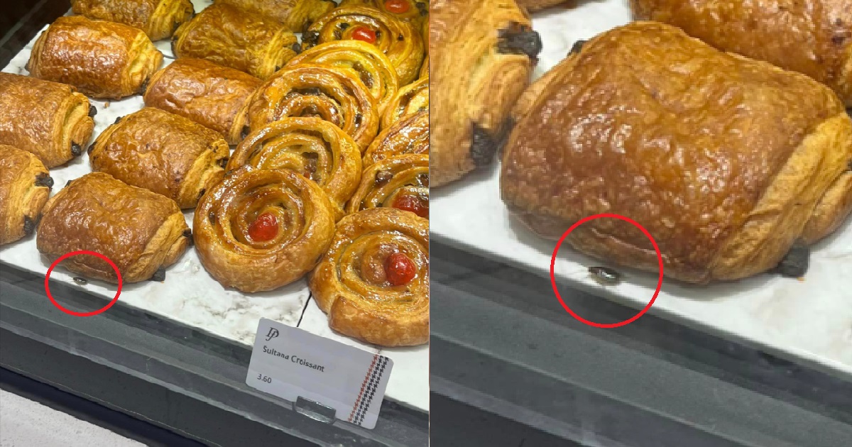 COCKROACH CRAWLING ON PASTRIES AT LOT ONE’S DELIFRANCE, SHOP TAKES “FULL RESPONSIBILITY”