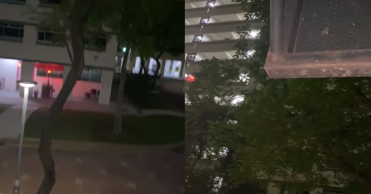 ROOSTERS EVERY MORNING “KU KU KUUU”, BUKIT MERAH RESIDENTS CAN’T TAHAN ANYMORE