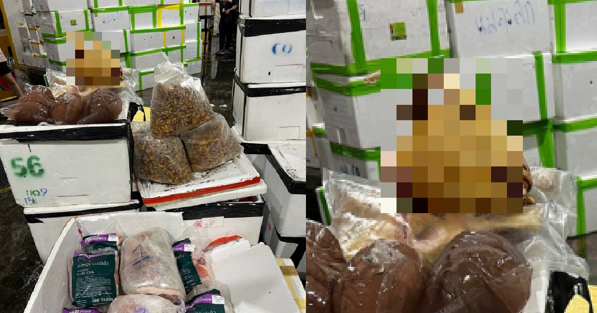 SFA SEIZED 6.8 TONNES OF ILLEGALLY IMPORTED FOOD, INCLUDING DECAPITATED GOAT HEAD