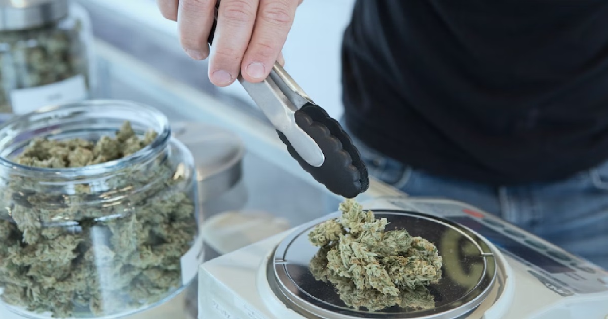 11 Y.O M’SIAN GIRL ATE DAD’S CANNABIS BISCUITS & END UP IN HOSPITAL, FATHER ARRESTED