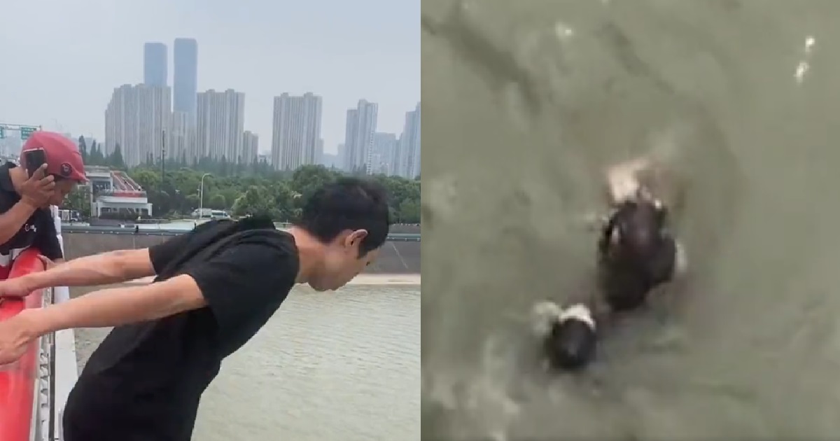DELIVERY RIDER IN CHINA JUMPED OFF BRIDGE & INTO RIVER TO RESCUE DROWNING WOMAN