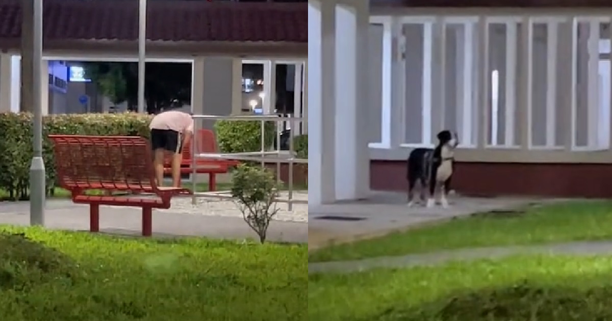UNCLE PLAYING HIDE & SEEK WITH HIS PET DOG UNDER HDB BLOCK IN HEARTWARMING VIDEO