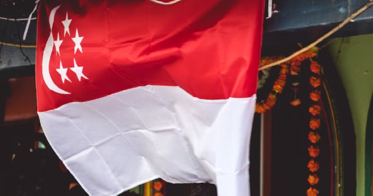 S’PORE MAN BURNED S’PORE FLAG & WALKED HOME WITHOUT ANY CLOTHES, GETS 3 MTHS “DRO”