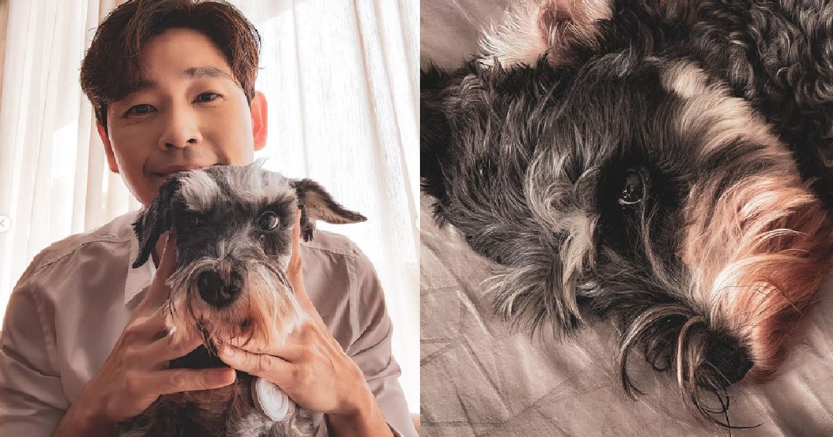 PET “PSYCHIC” SAYS ROMEO TAN’S DOG IS ACTUALLY THE SOUL OF HIS GRANDMOTHER