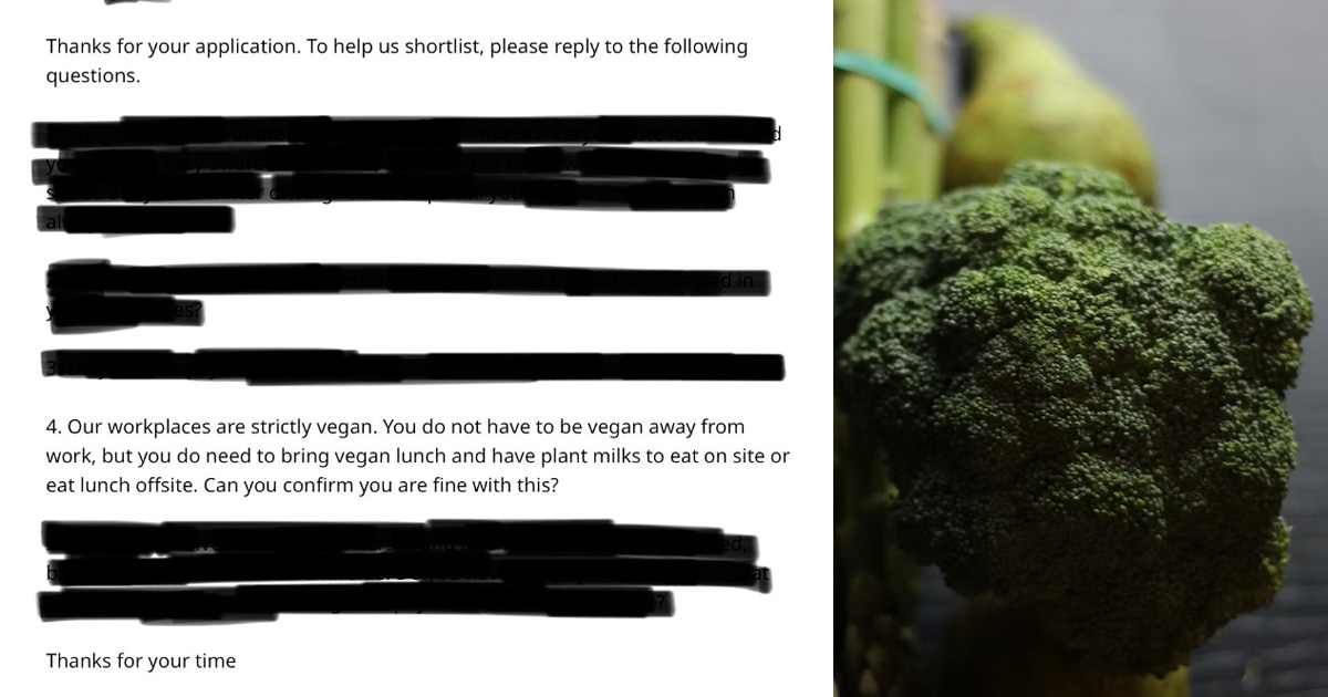 MAN RECEIVES JOB OFFER: “OUR WORKPLACE IS VEGAN, YOU MUST BRING VEGAN LUNCH”