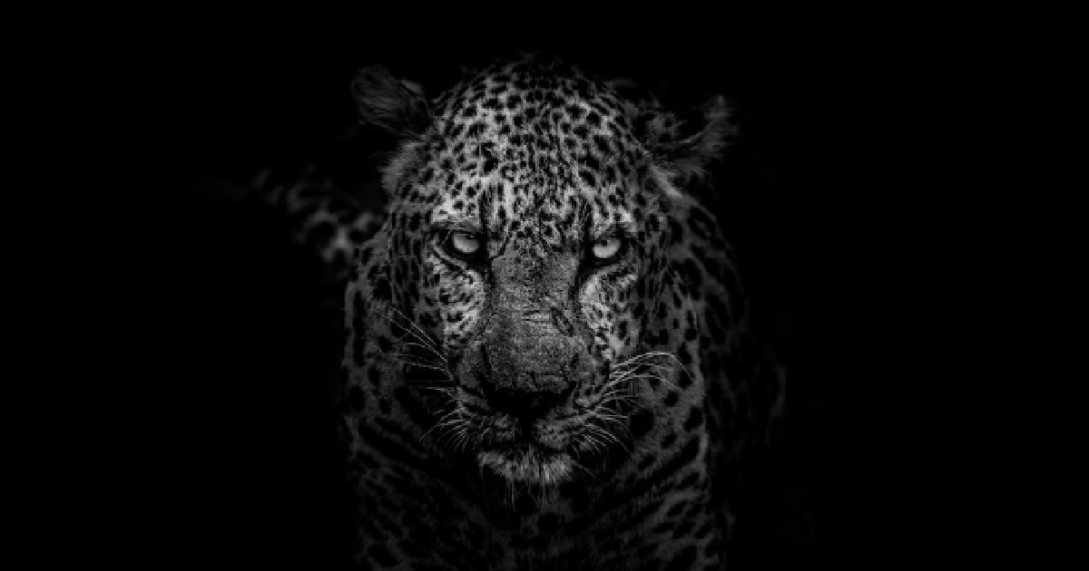 WOMAN CAN’T GET TURNED ON BY BF, TOO POLITE & NOT “BEASTLY” ENOUGH IN BED