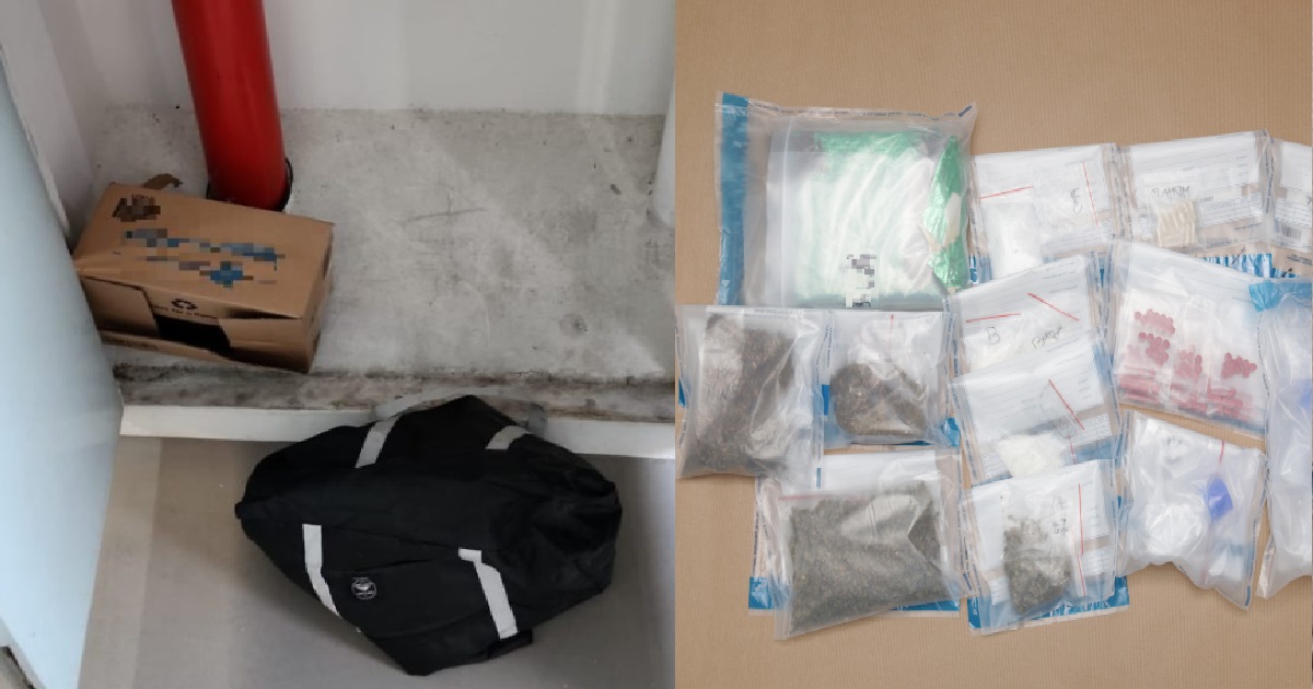 19 & 17 Y.O BROTHERS ARRESTED IN DRUG RAIDS WHERE $497K WORTH OF DRUGS WERE SEIZED