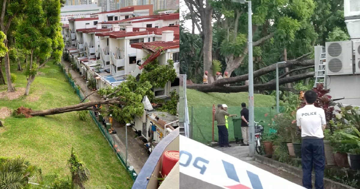 GAS LEAK IN SHOPHOUSE @ TIONG BAHRU AFTER GIANT TREE FELL ONTO IT, NO CASUALTIES