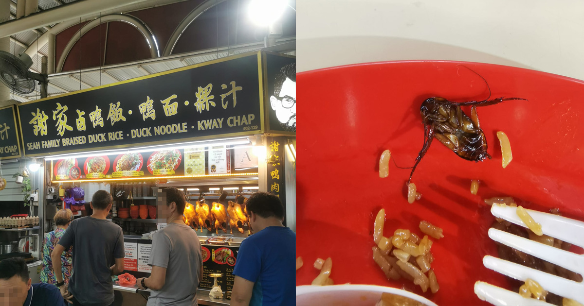 A Disturbing Dining Experience Cockroach Encounter at Bukit Timah