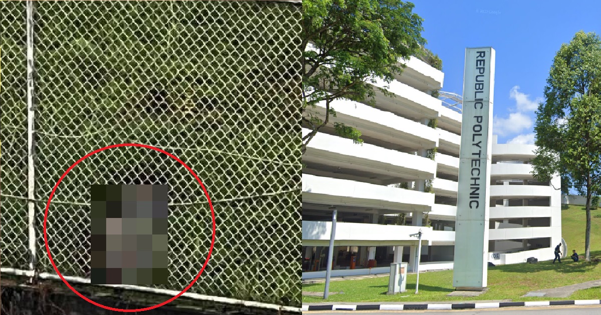 BADLY ROTTING DEAD BODY OF 49-YEAR-OLD MAN FOUND AT REPUBLIC POLY GRASS PATCH
