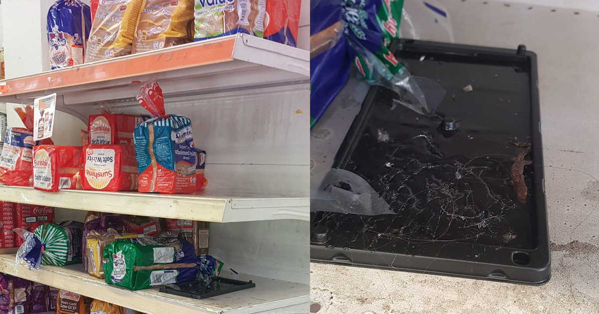 MAN CAUGHT WITH NASTY SURPRISE AFTER DEAD LIZARD FOUND DISPLAYED ALONG BREAD