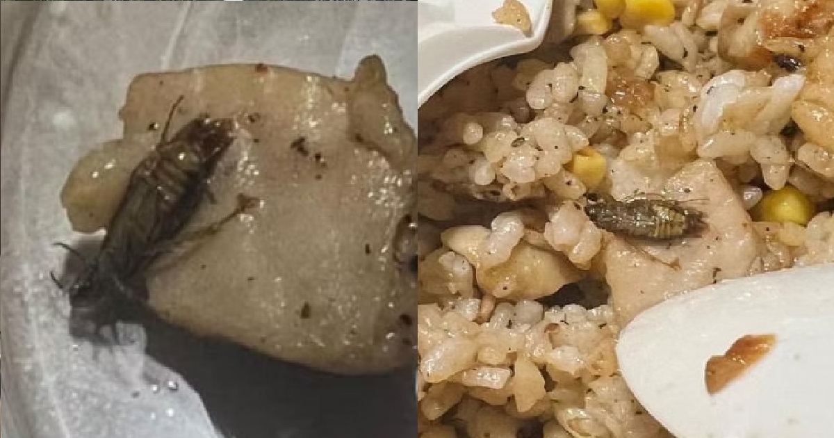 MAN FOUND “COOKED” COCKROACH INSIDE PEPPER LUNCH RICE BOWL, TRAUMATISED