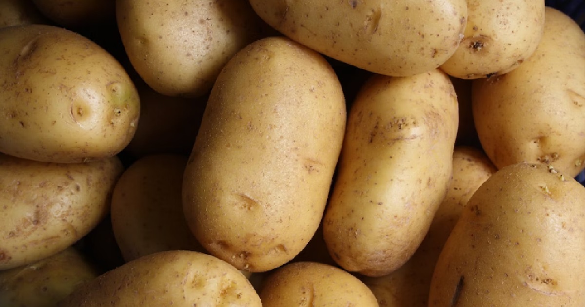 GUY PUT HIS KKJ INTO A POTATO TO PCC, SAY IT’S BETTER THAN GIRLS CAUSE WON’T BETRAY HIM