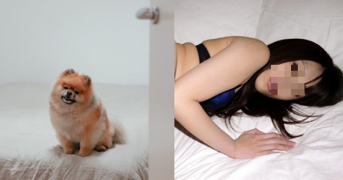 WOMAN CONNED GUY INTO SLEEPING WITH HER BY LYING THAT SHE HAS PUPPIES AT HOME