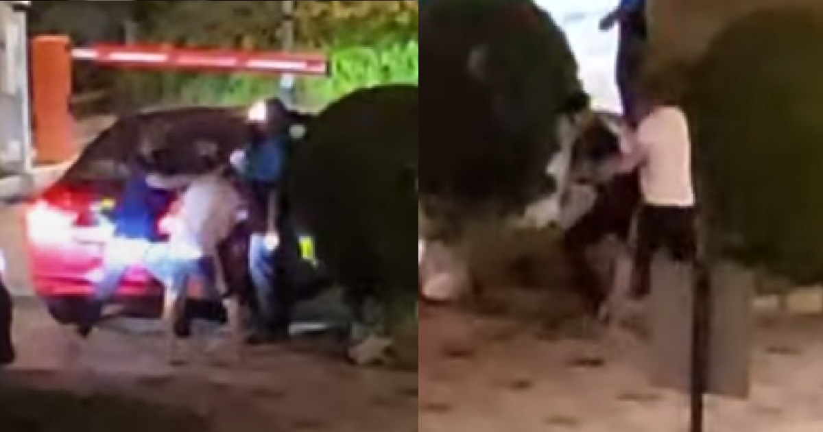 61 Y.O UNCLE 1V1 WITH 34 Y.O MAN OUTSIDE CONDO @ CHANGI, SMASH EACH OTHER FACES