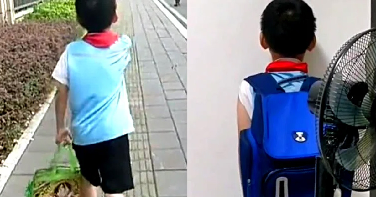 7 Y.O CHINESE BOY BRINGS BEER TO SCHOOL IN CHINA, CLASSMATES ALL DRUNK