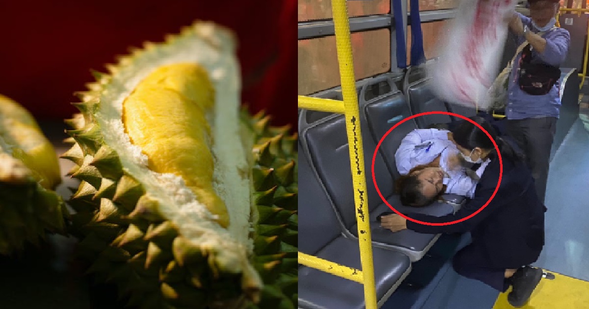 BUS CONDUCTOR PENGSAN & K.Os AFTER PASSENGER BROUGHT DURIAN ONTO BUS