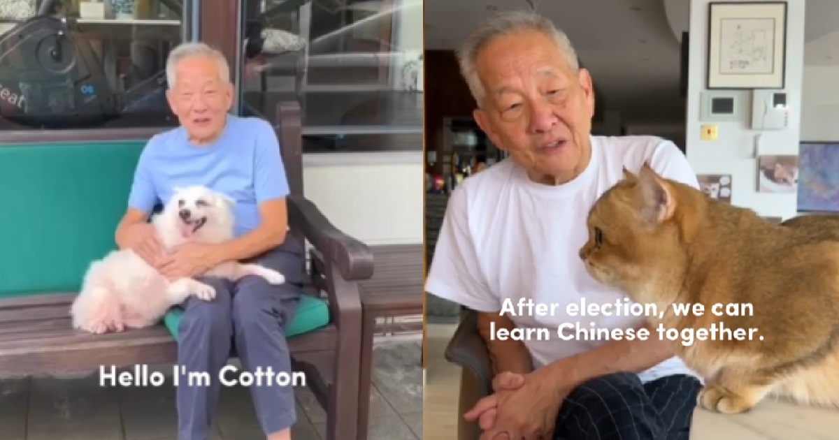 NG KOK SONG AFTER ELECTION LOSS – “I’D LIKE TO THANK MY DOG AND MY CAT”