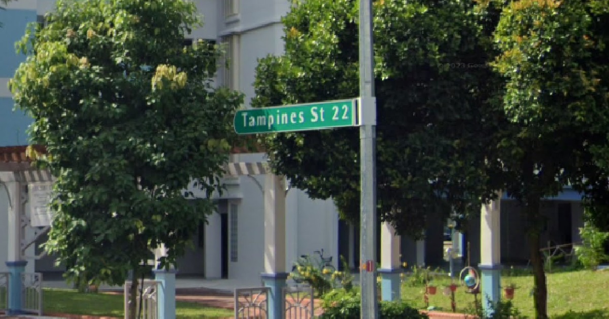 2 MEN ARRESTED FOR ROBBERY @ TAMPINES, WHACKED VICTIM THEN TAKE HIS WALLET & PHONE