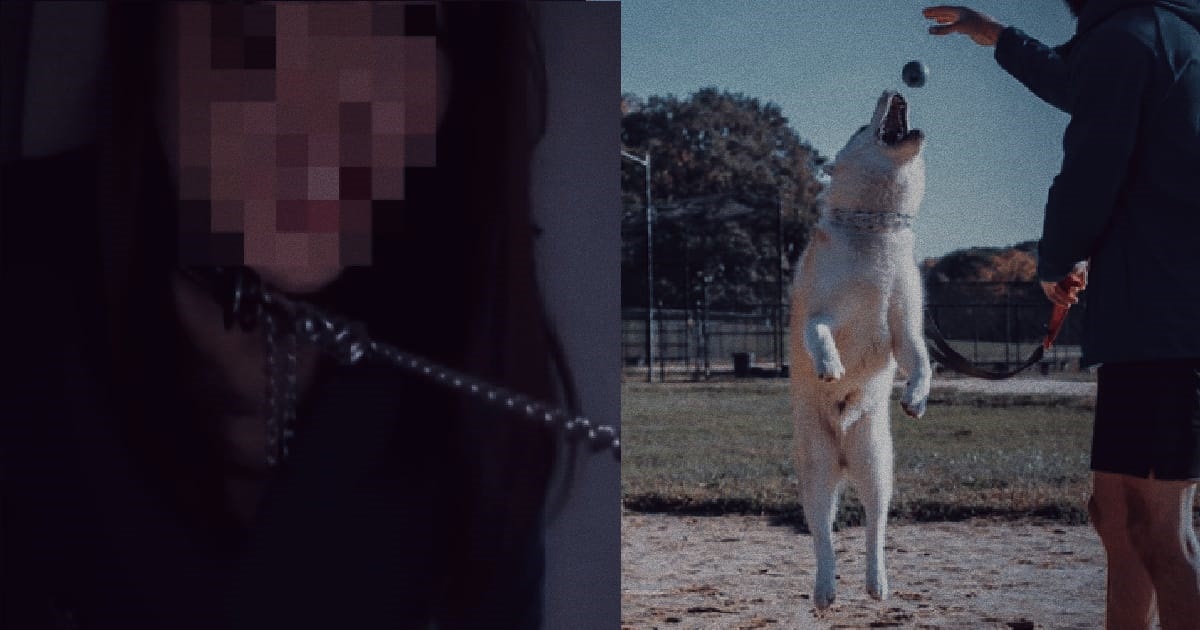 GUY SECRETLY TRAINING HIS GF LIKE A DOG TO MAKE HER GOOD AT CATCHING THINGS