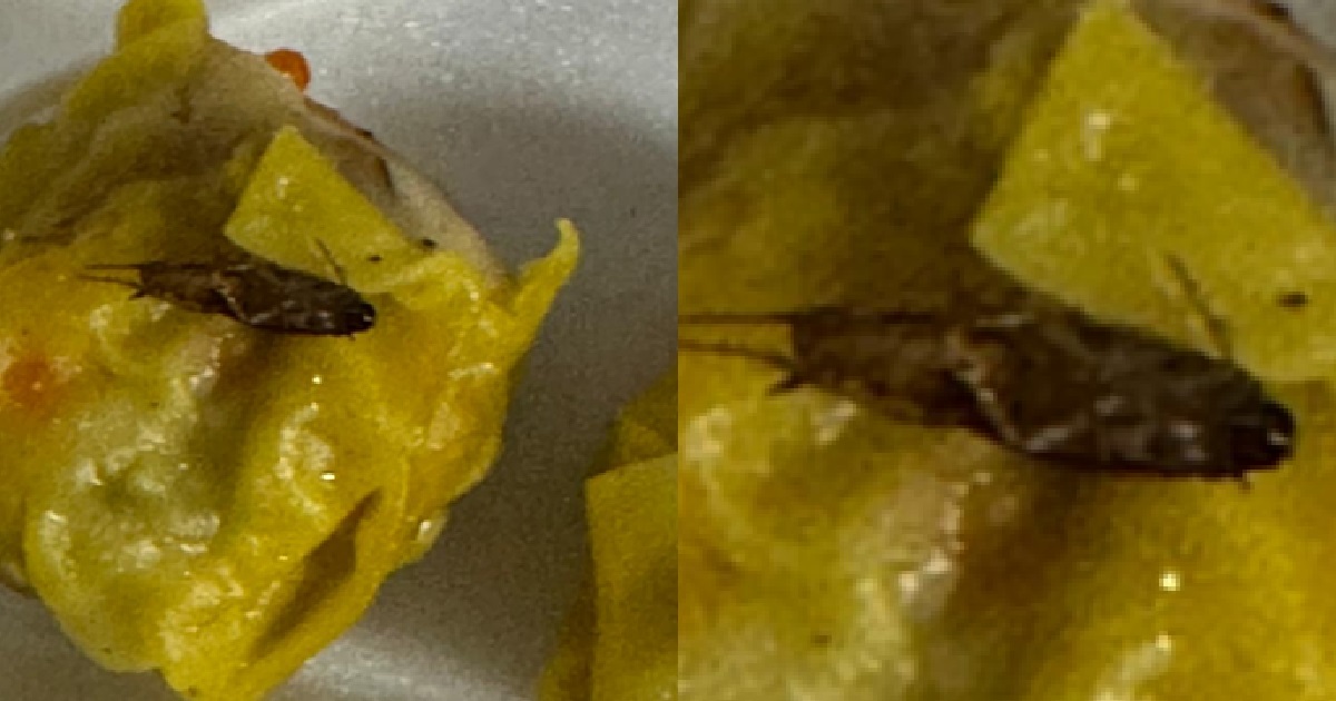 WOMAN FINDS COCKROACH LEPAK-ING IN HER SIEW MAI, HAWKER SAYS: “IMPOSSIBLE”