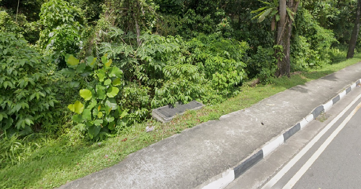 INDIA CLEANER ATTACKED WOMAN @ KRANJI, DRAGGED HER INTO FOREST TO RAPE, JAILED & CANED