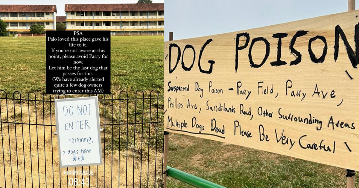 3 DOGS DIED AFTER VISIT TO FIELD IN KOVAN, ALLEGEDLY POISONED