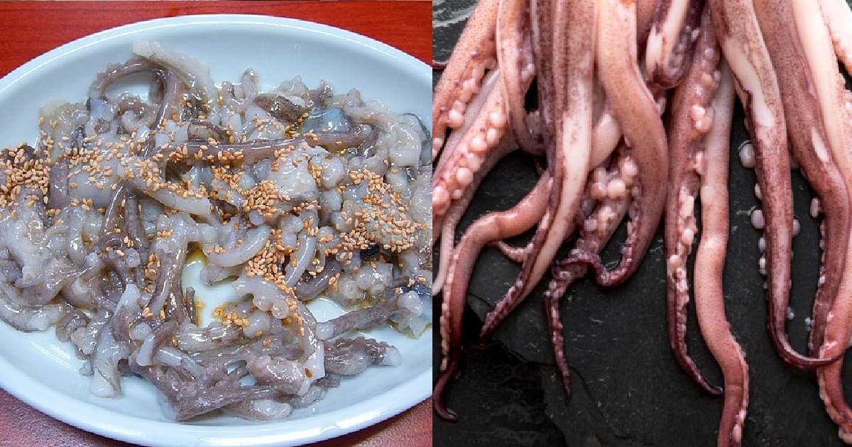 ELDERLY MAN ATE OCTOPUS WHILE IT’S STILL ALIVE & WRIGGLING, CHOKED TO DEATH