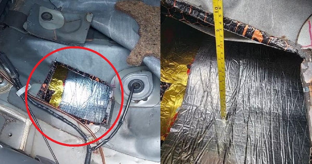 MAN SMUGGLED 13 CATS & DOGS INTO SG, HID KITTEN INSIDE NYLON BAG & CAUSED 5 DOGS TO DIE