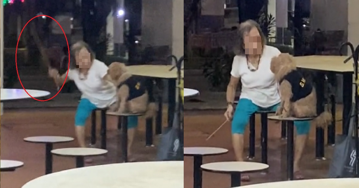 AH MA SEEN IN VIRAL VIDEO CANING DOG @ HAWKER CENTRE, BEING INVESTIGATED BY AVS