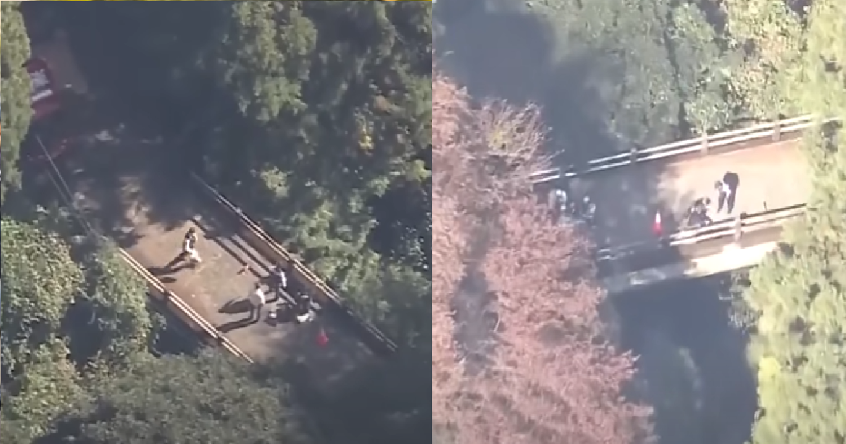WOMAN FELL TO HER DEATH FROM 40M-HIGH BRIDGE WHILE TRYING TO TAKE PHOTO OF A DEER