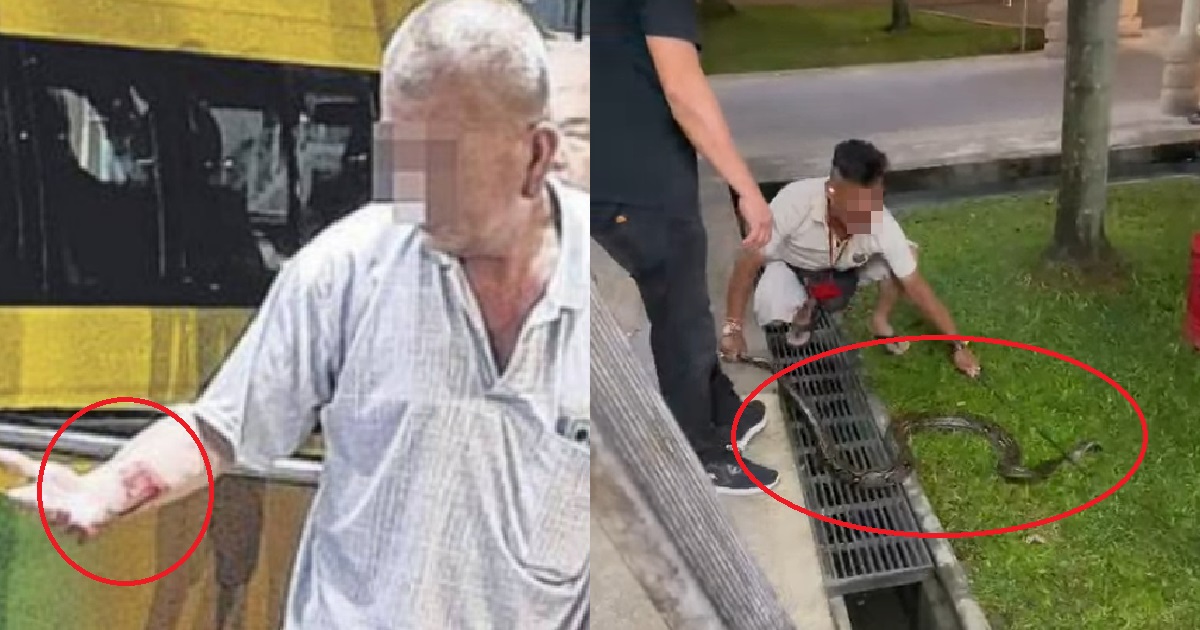ELDERLY UNCLE BITTEN WHILE TRYING TO CATCH PYTHON WITH HIS HAND @ KALLANG COFFEESHOP