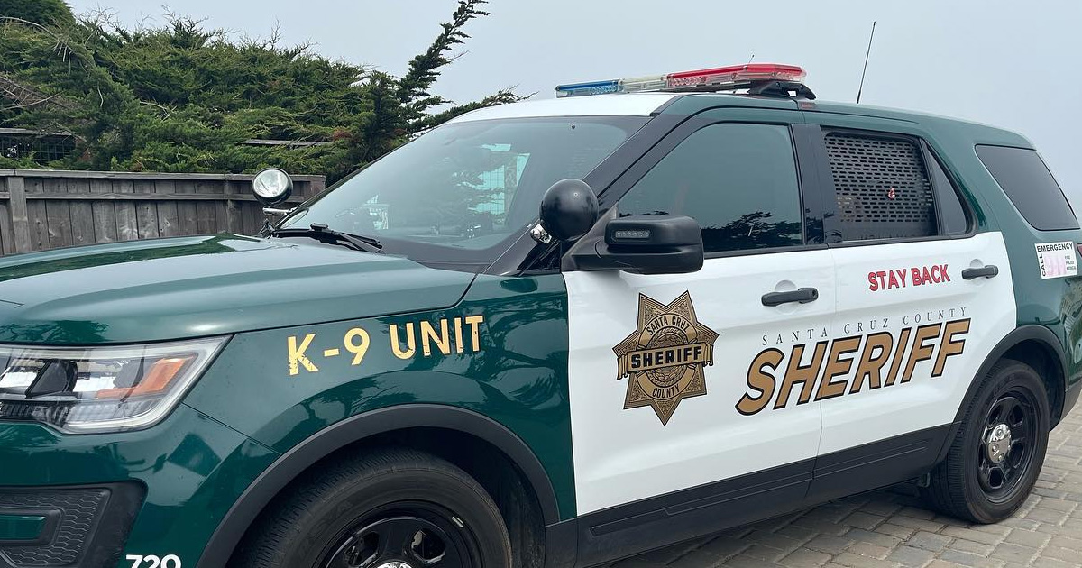 5 Y.O STABBED AND KILLED TWIN BROTHER IN THE US