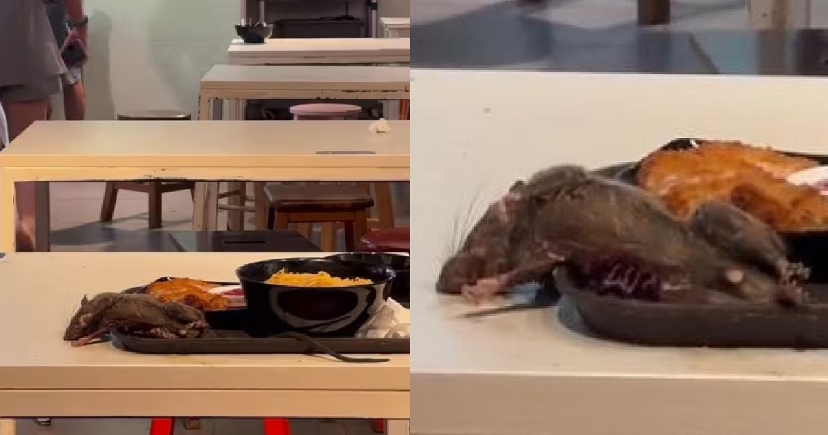 VIRAL VIDEO OF HUGE RAT @ TANGS MARKET: NEA & SFA TO TAKE ACTION AGAINST STALLS & MANAGEMENT