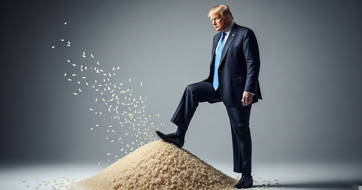 Trump Labels Japan “Spoiled” Over Rice Imports, Threatens to End Trade ...
