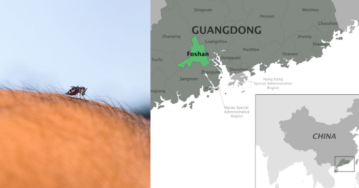 Acute Mosquito-Borne Virus Sparks Travel Alert for China, Currently No Cure Or Treatment