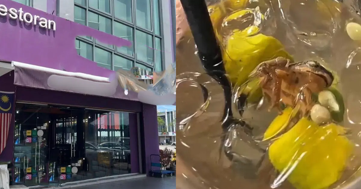 Woman Discovers Dead Frog in Drink at M’sia Eatery, Netizens Disgusted